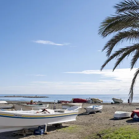 Astilla De Palo A La Orilla Del Mar